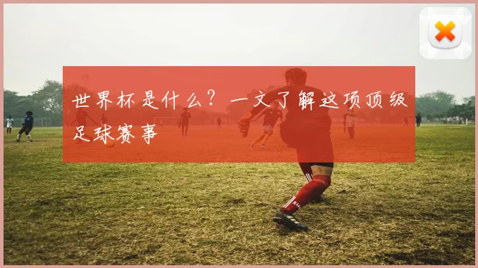世界杯是什么?一文了解这项顶级足球赛事